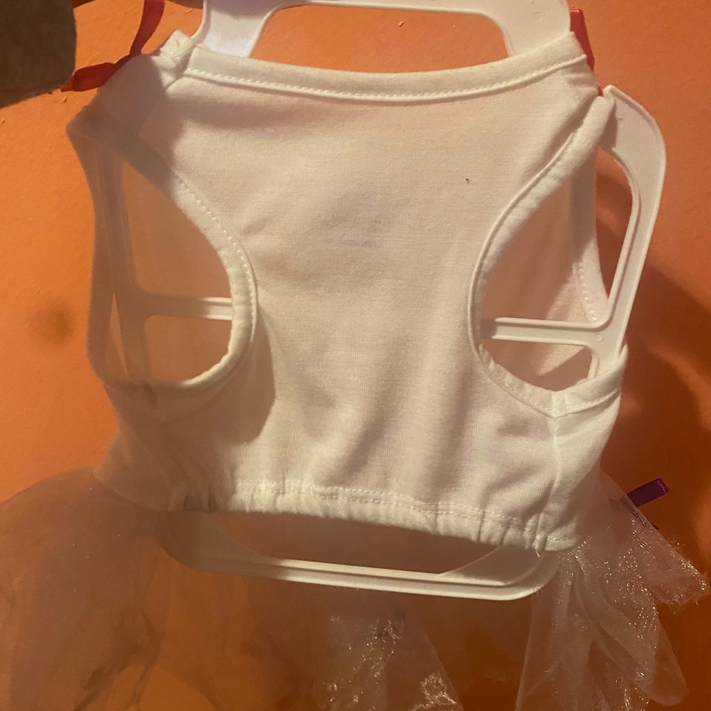 Cute puppy outfit